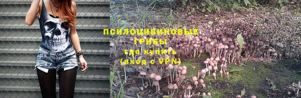 прущие грибы Арсеньев