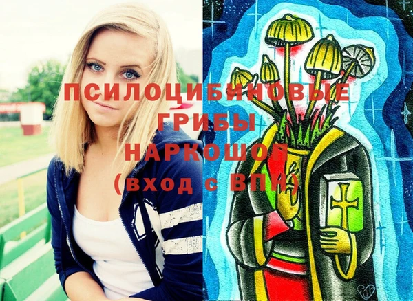 ПСИЛОЦИБИНОВЫЕ ГРИБЫ Семилуки
