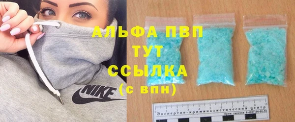 прущие грибы Арсеньев